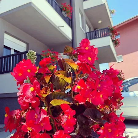 Srebrna Kap Apartment Veliko Gradiste