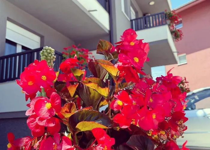 Srebrna Kap Apartment Veliko Gradiste